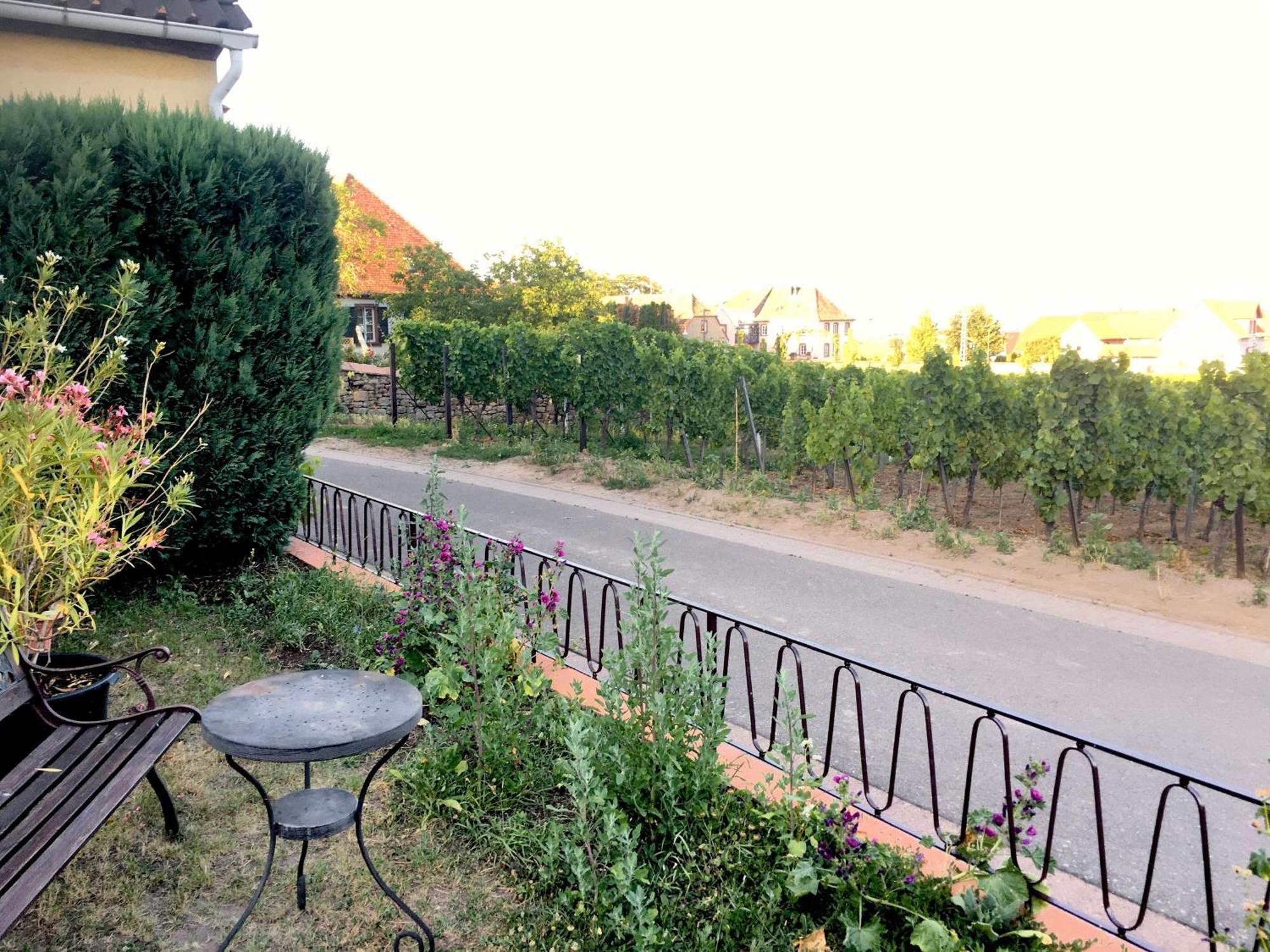 Ferienwohnung Suedpfalzblick Burrweiler Zewnętrze zdjęcie